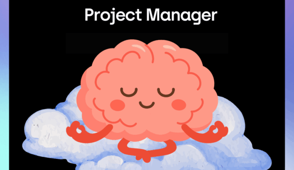 Project Manager